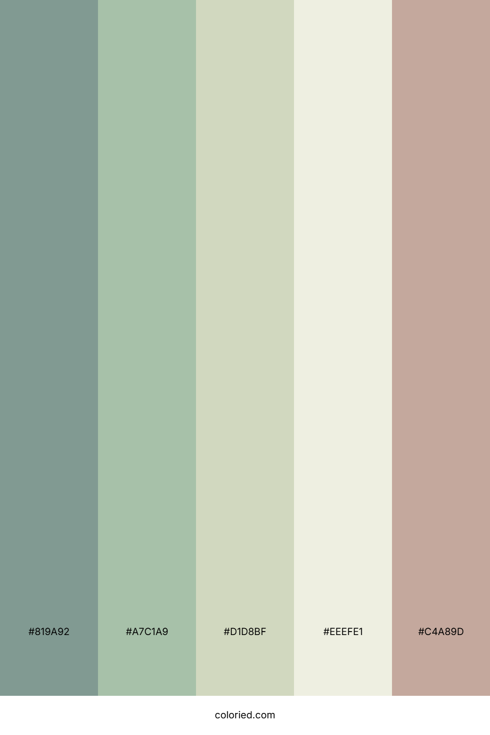 Misty Forest Color Palette