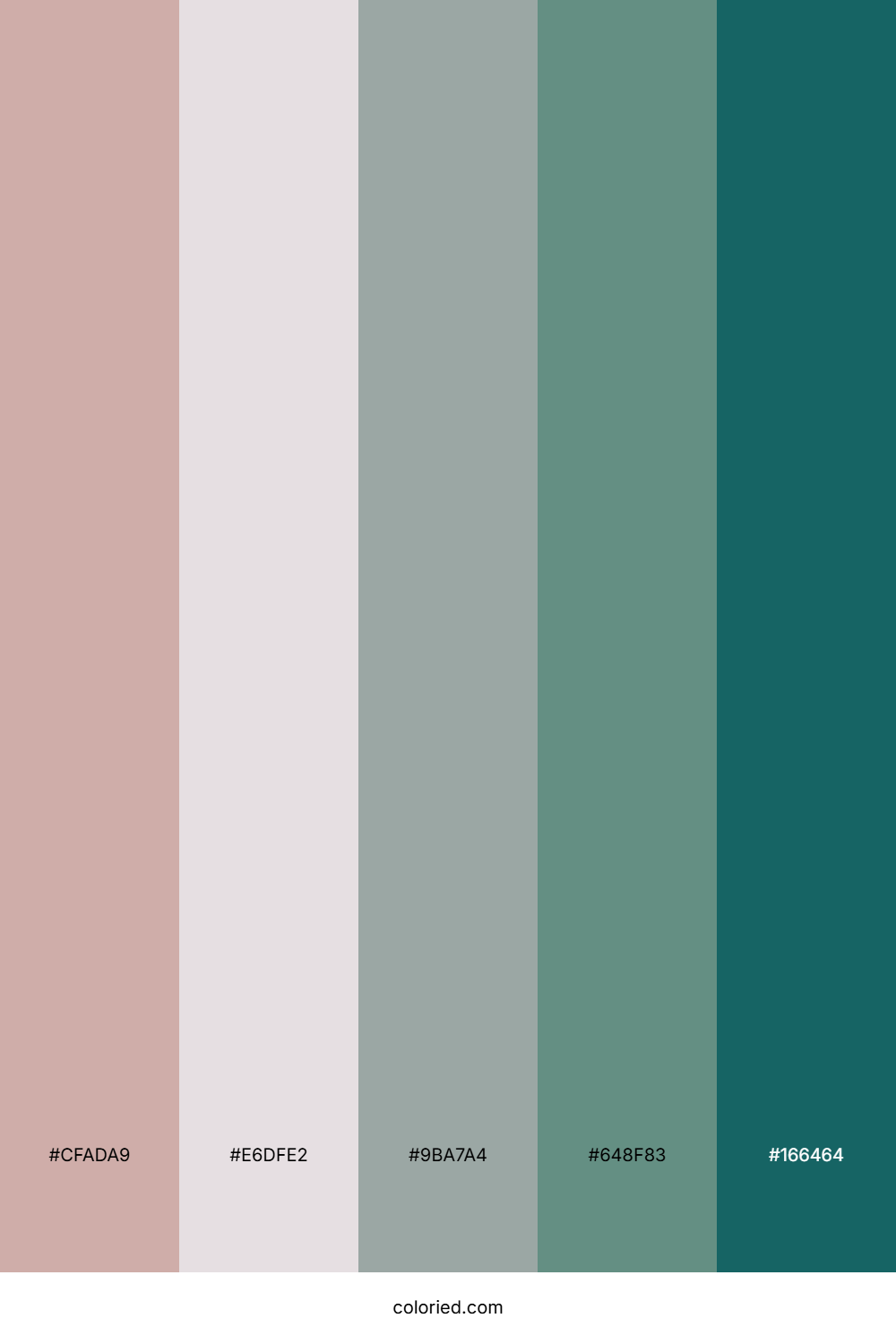 Misty Forest Stream Color Palette