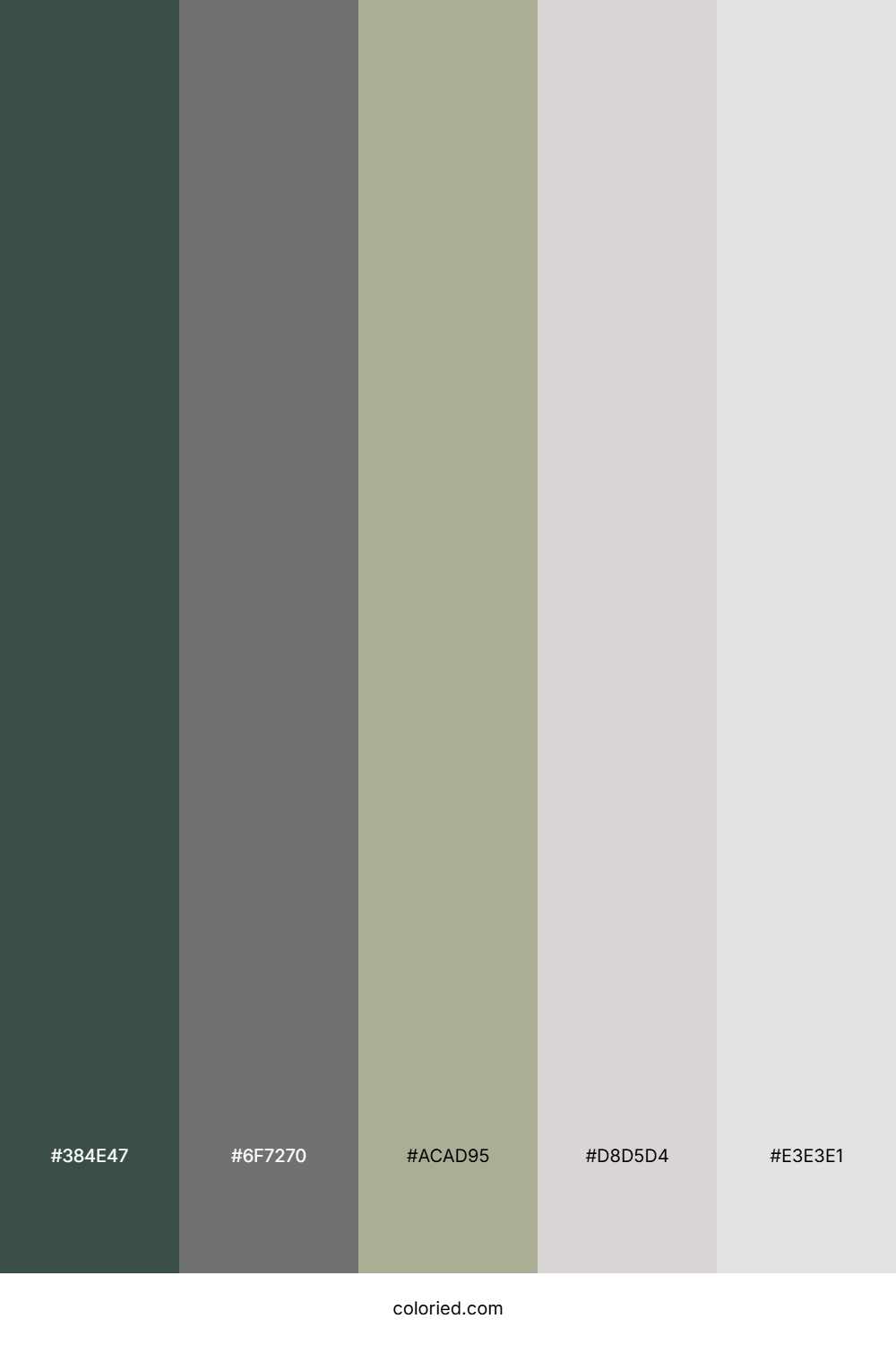 Misty River Stone Color Palette
