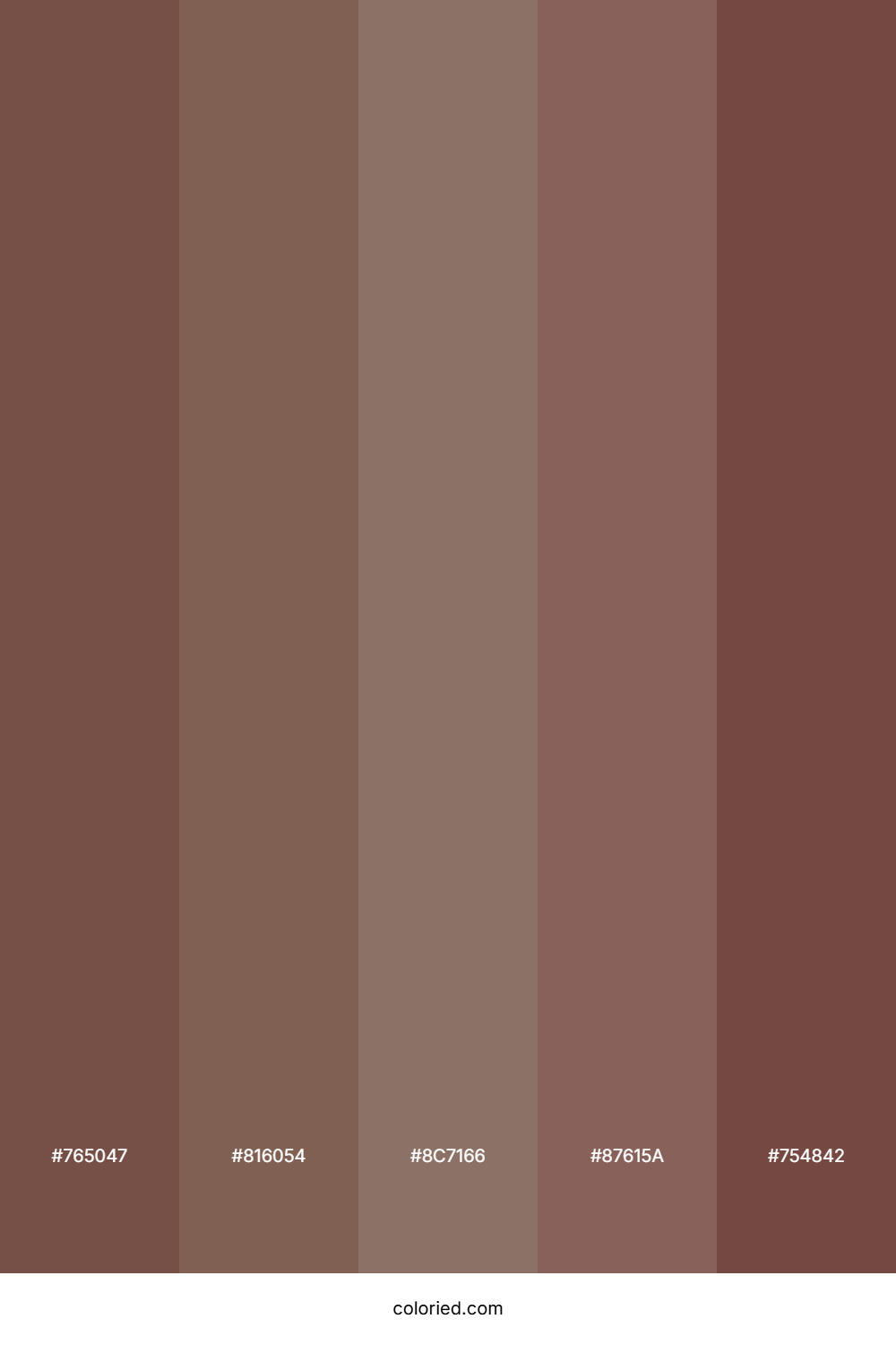 Mocha And Cocoa Color Palette