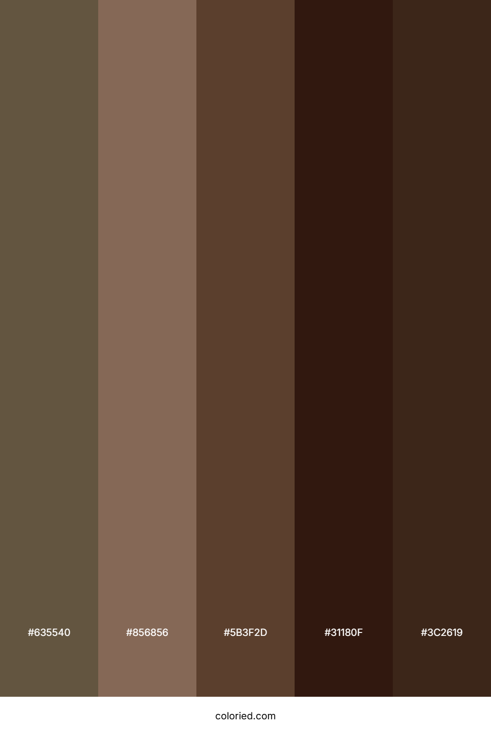 Mocha and Walnut Color Palette