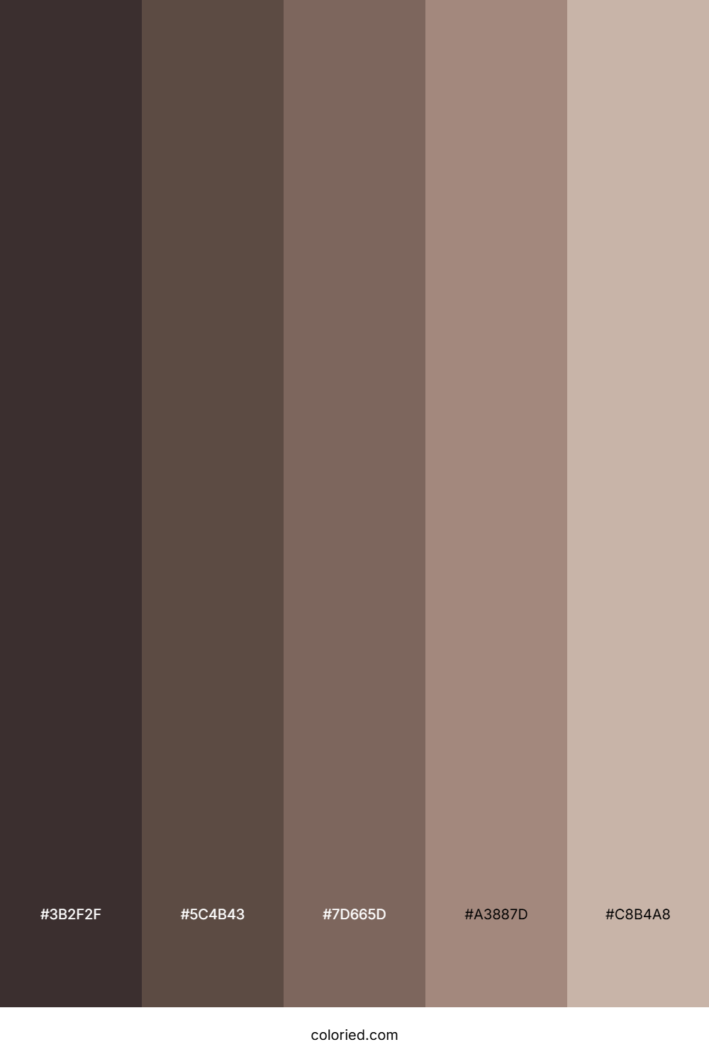 Mocha Brown Color Palette