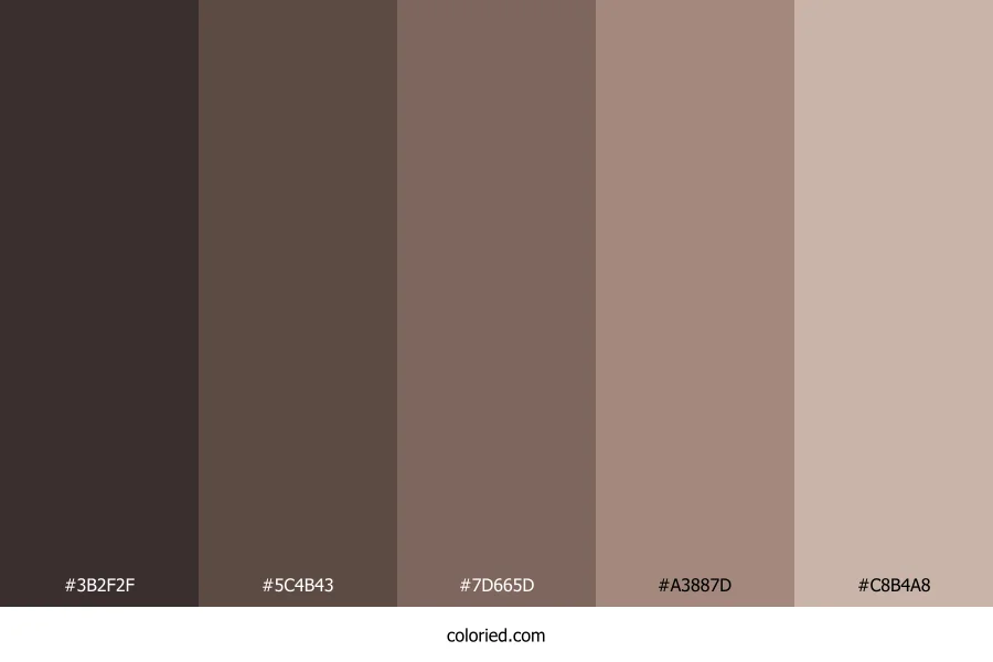 Mocha Brown Color Palette
