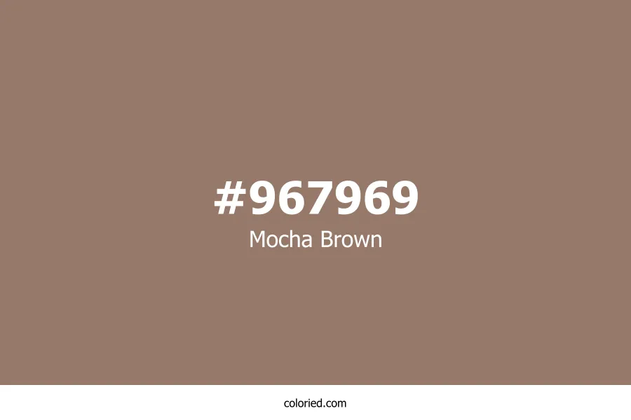 Mocha Brown Color