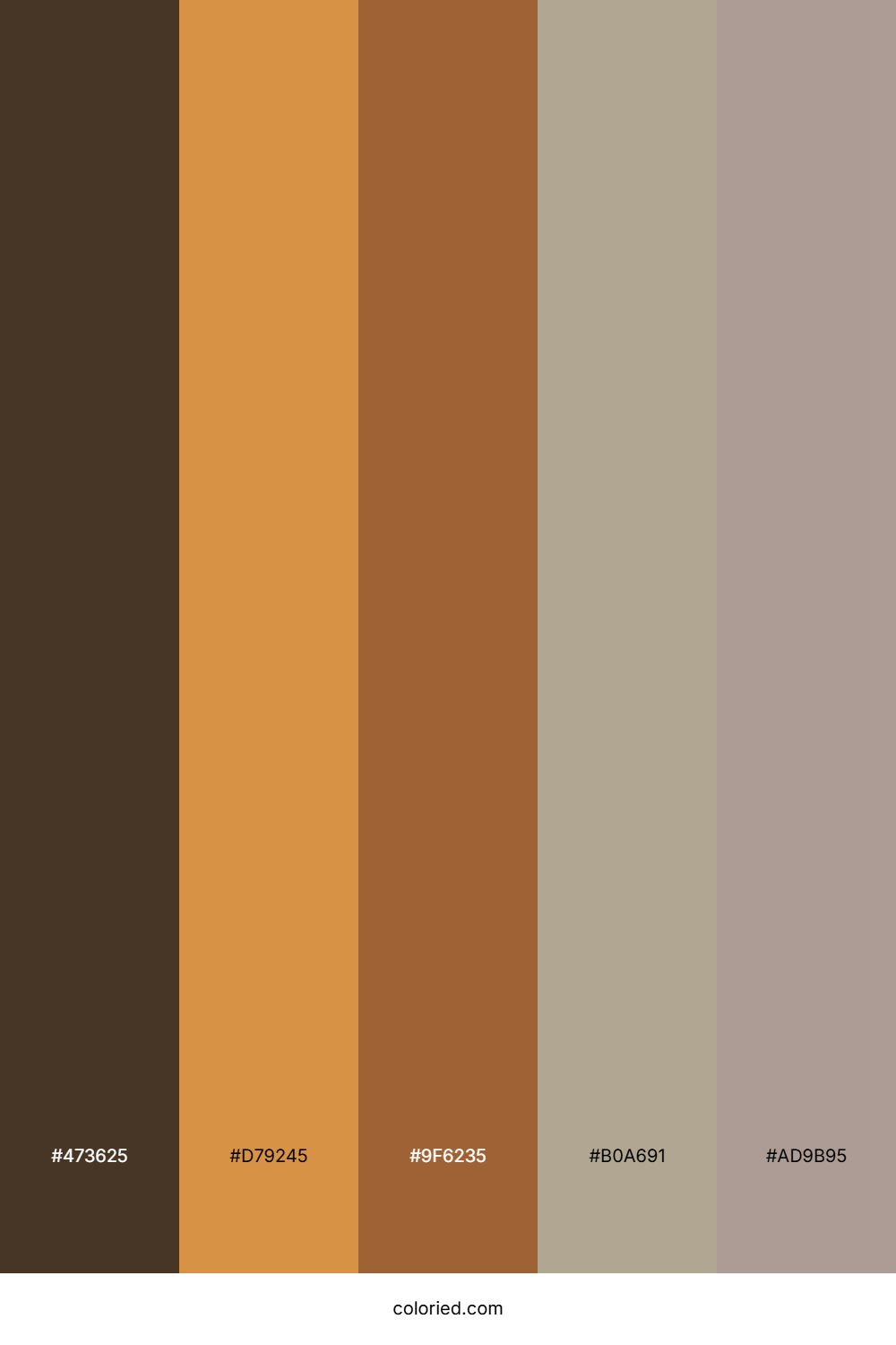 Mocha Caramel Drift Palette
