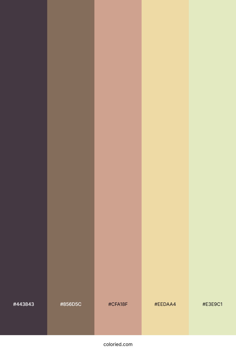 Mocha Sand Dune Color Palette