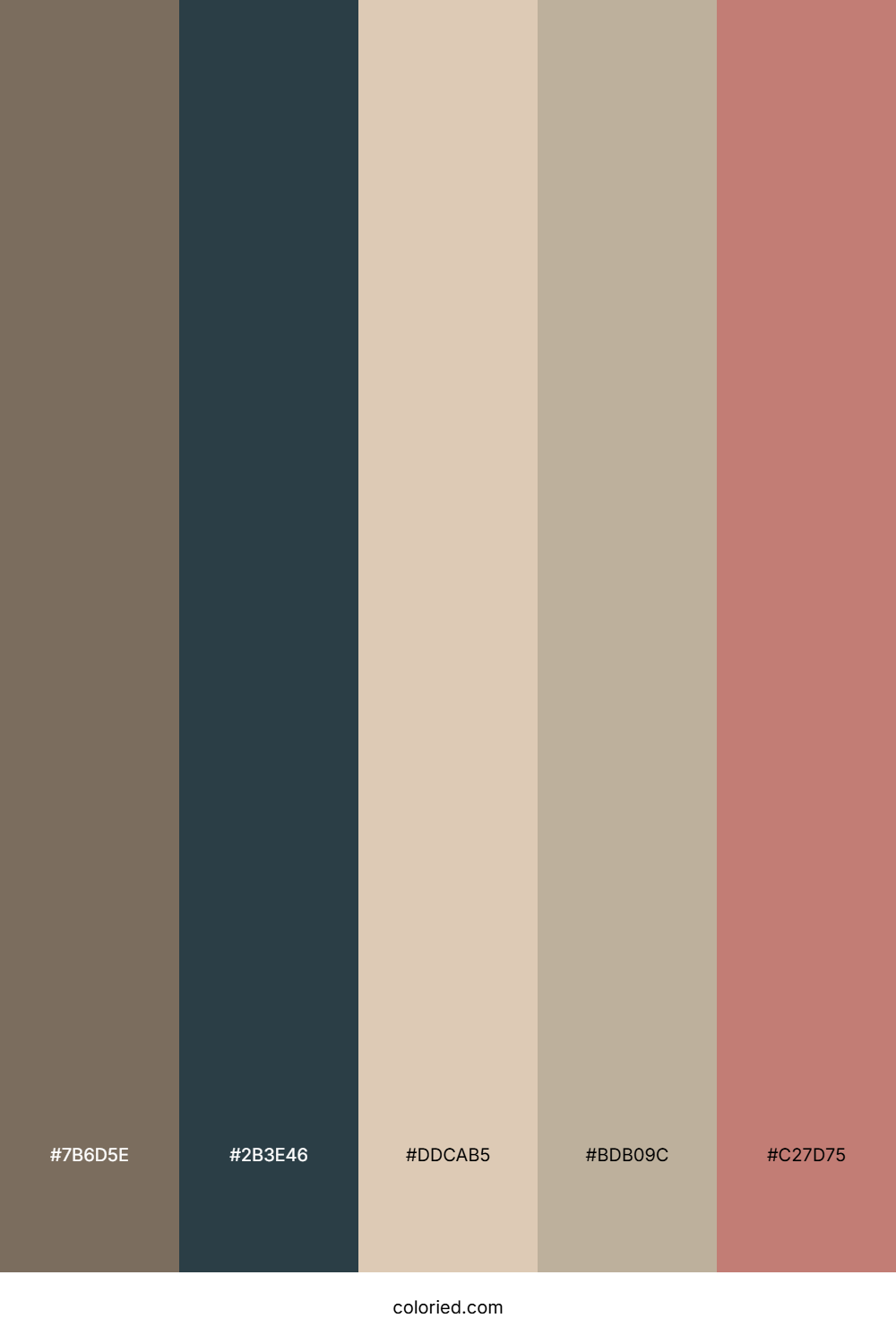 Mocha Stone Path Color Palette