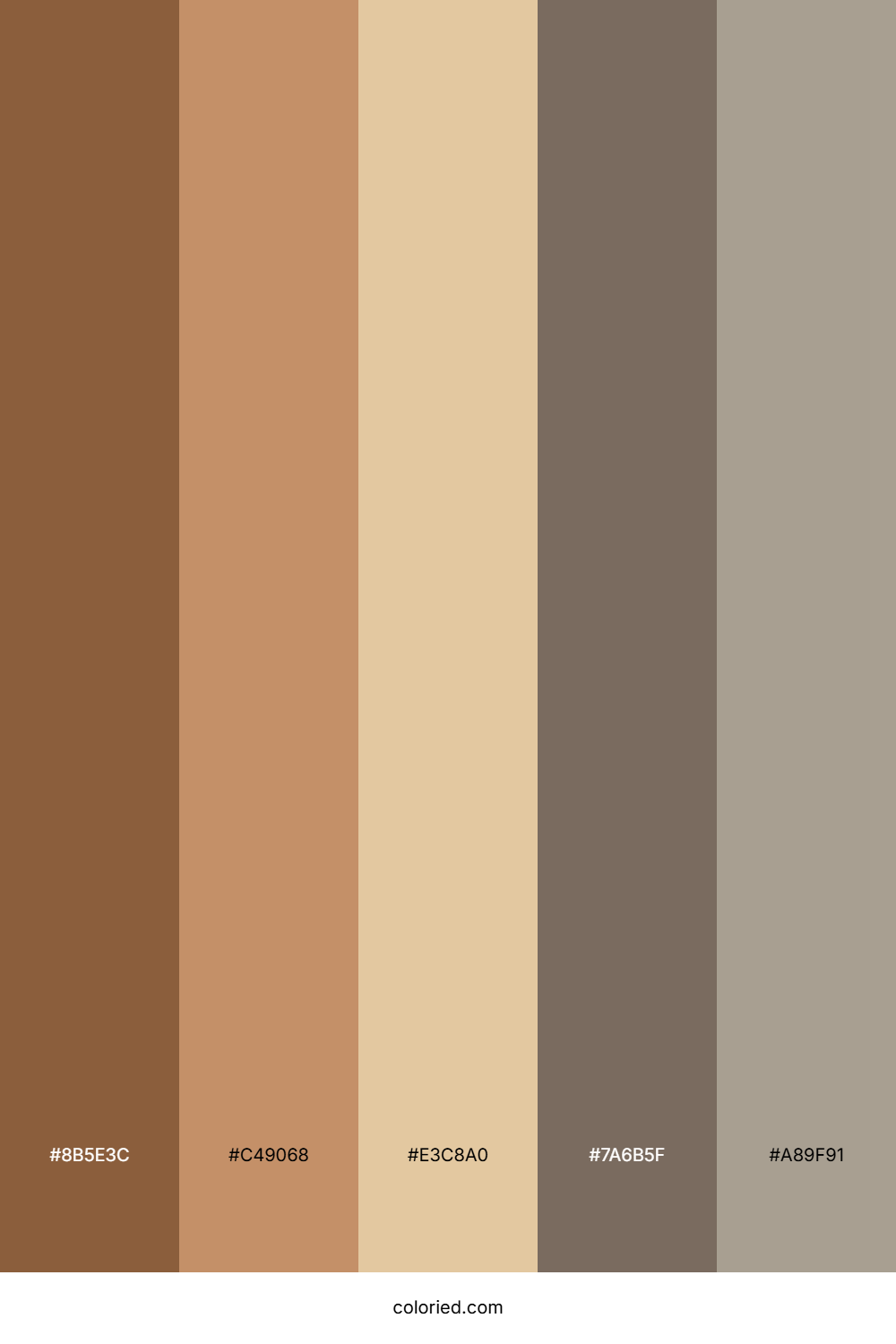Modern Rustic Color Palette