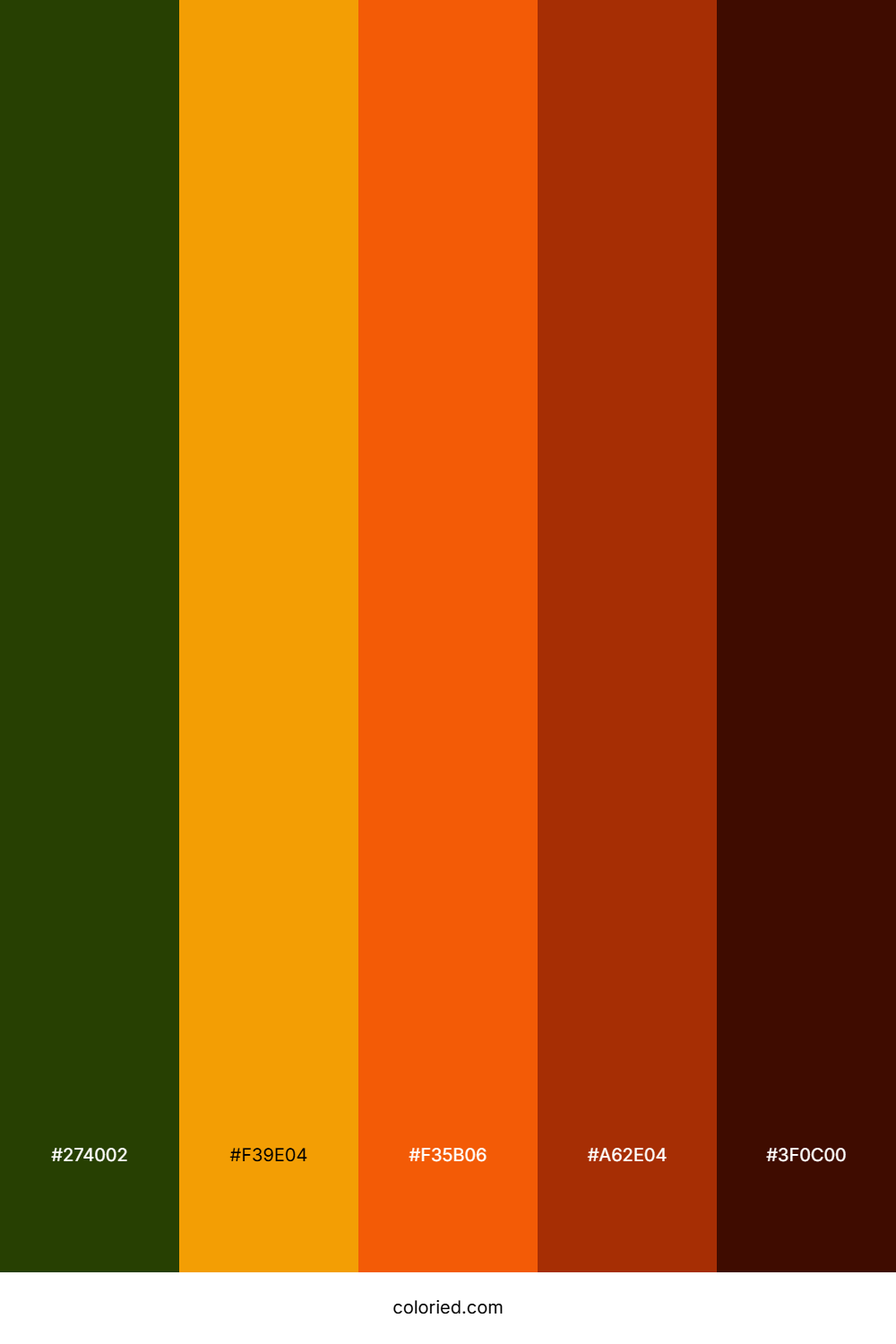Molten Earth Canyon Color Palette