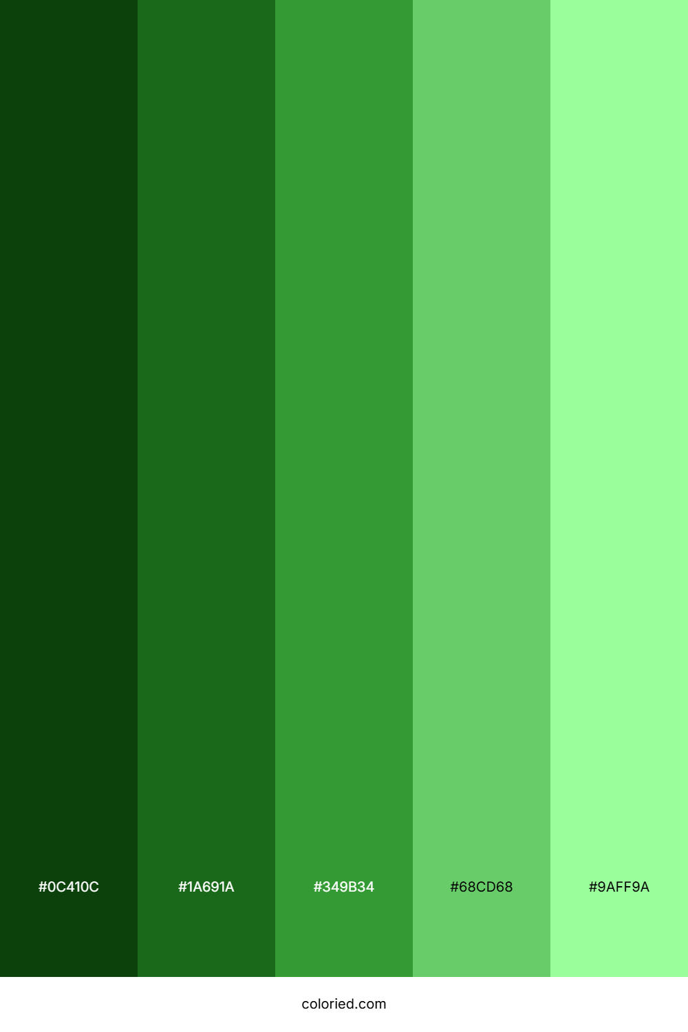 Money Green Color Palette