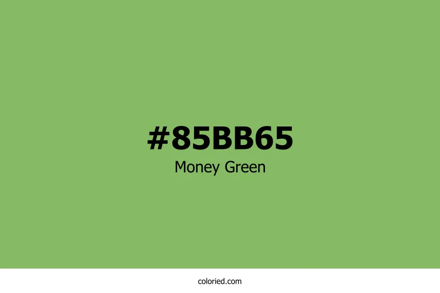 Money Green Color