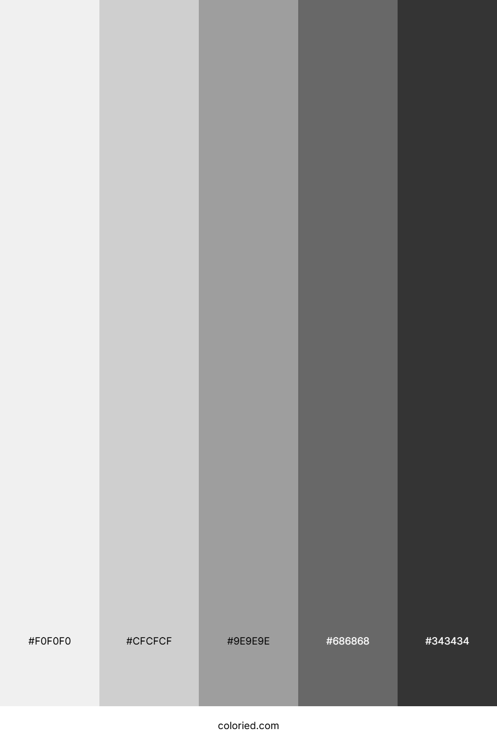 Monochrome Steel Gray Color Palette