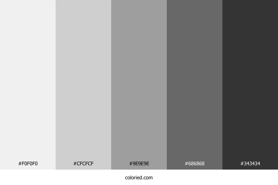 Monochrome Steel Gray Color Palette