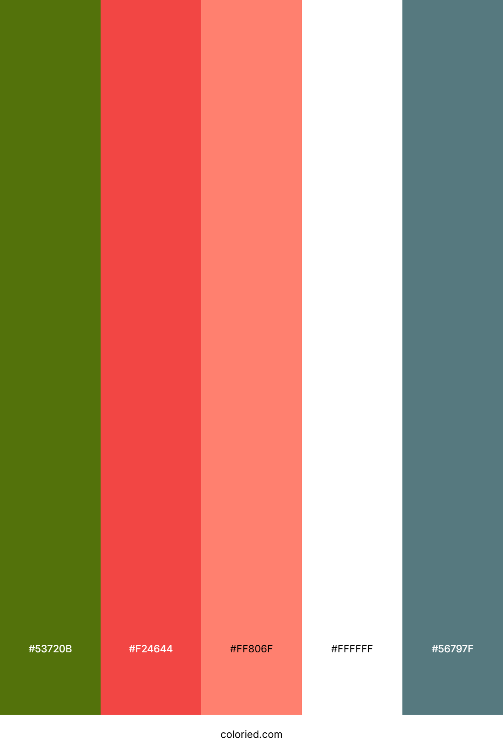 Moss Coral Cloud Color Palette