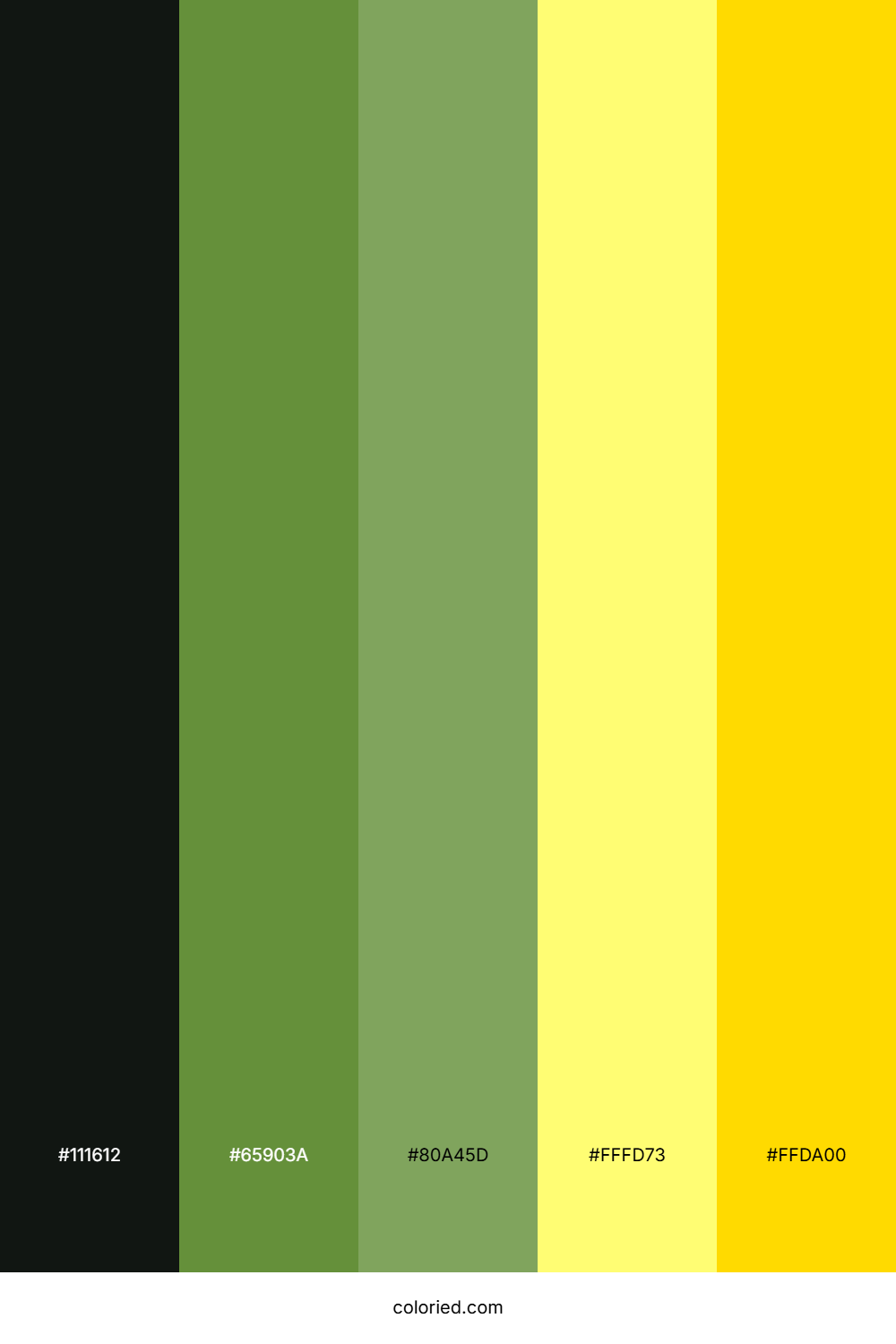 Moss Green And Jet Black Color Palette