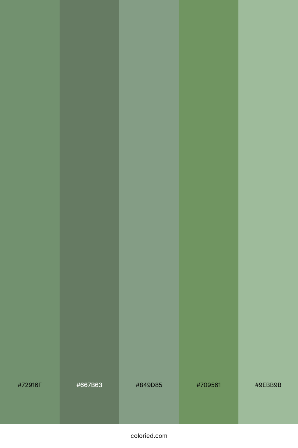 Moss Green and Olive Color Palette