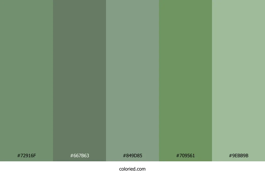 Moss Green and Olive Color Palette