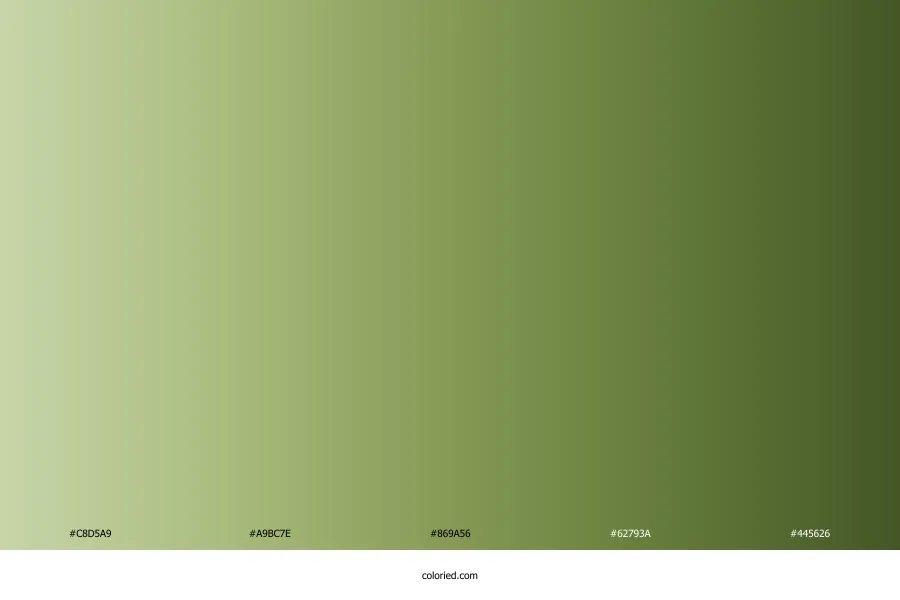 Moss Green Gradient