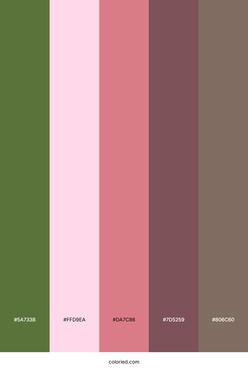 Moss Petal Earth Color Palette