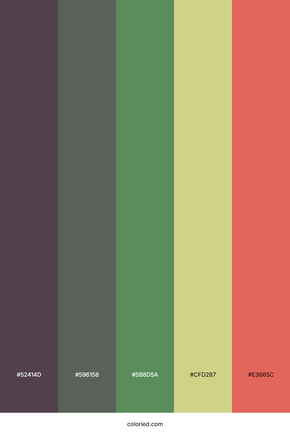 Moss Slate Coral Color Palette