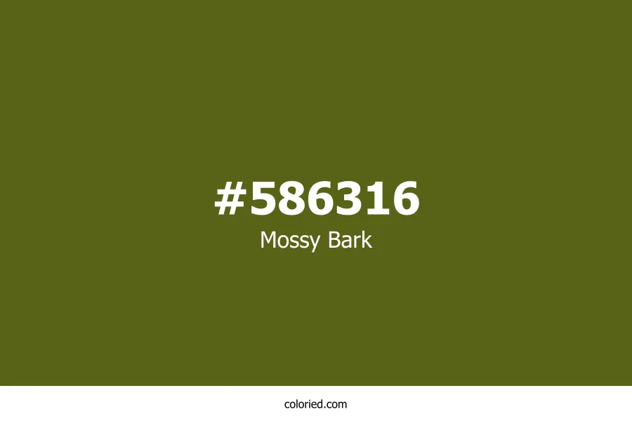Mossy Bark Color