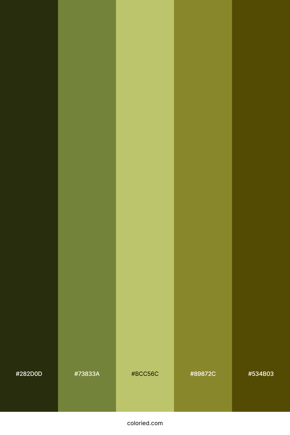 Mossy Field Sunrise Color Palette