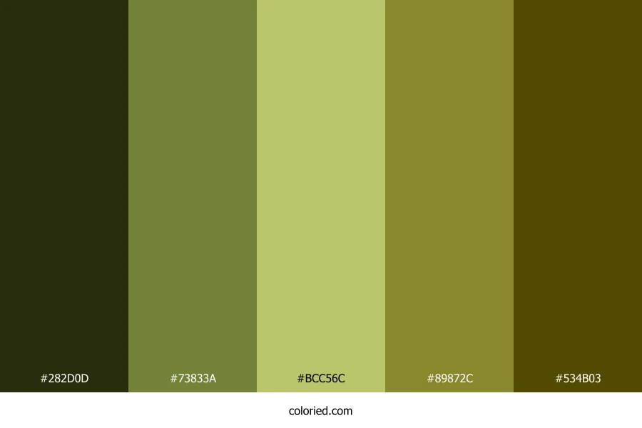 Mossy Field Sunrise Color Palette