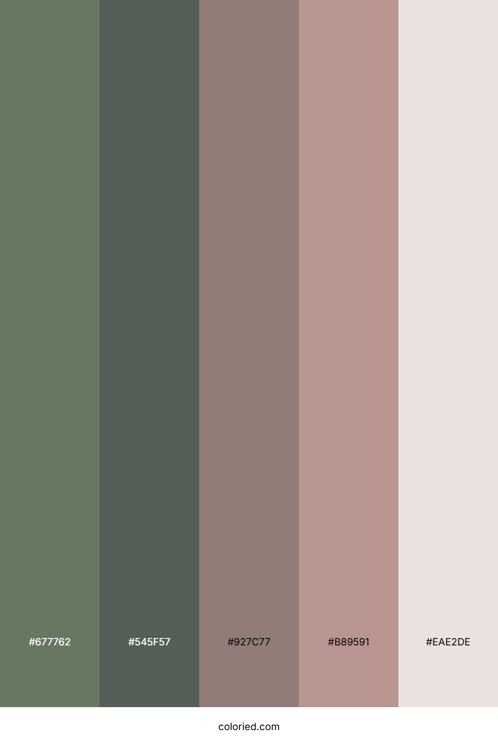 Mossy Forest Glade Color Palette