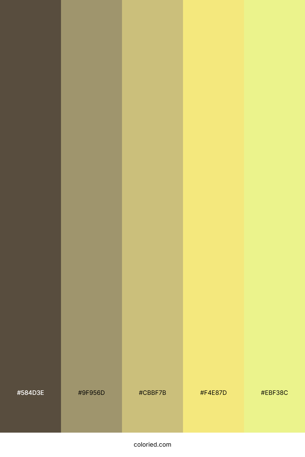 Mossy Forest Light Color Palette