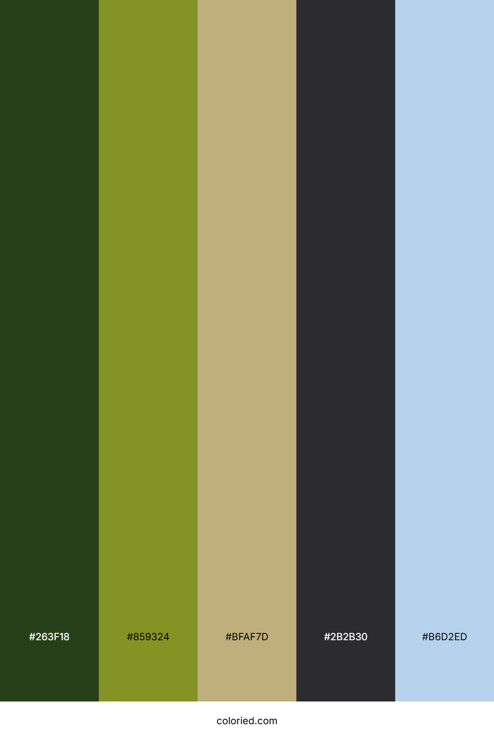 Mossy Forest Trail Color Palette
