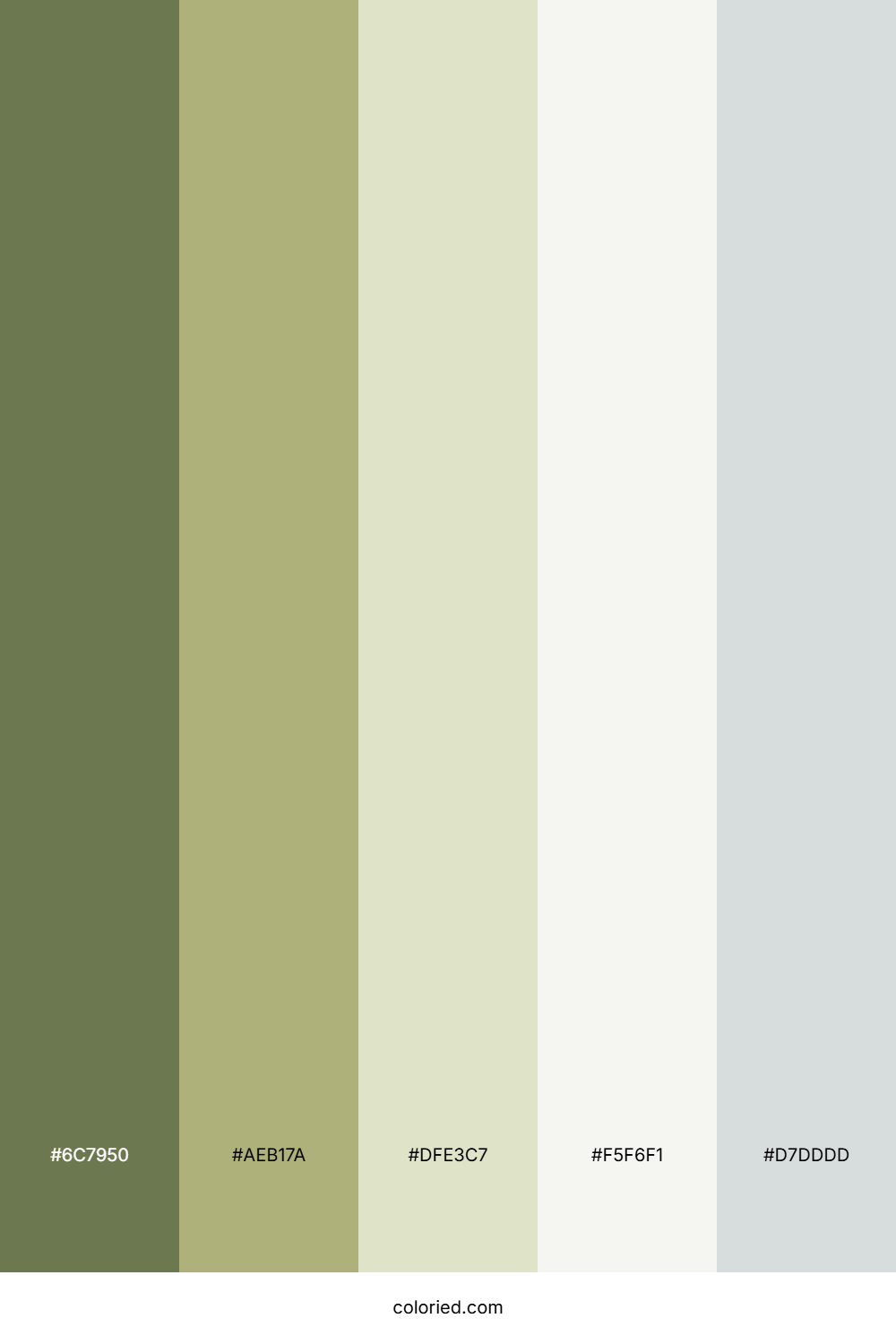 Mossy Garden Walk Color Palette