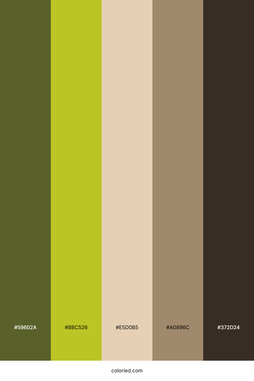 Mossy Meadow Trail Color Palette