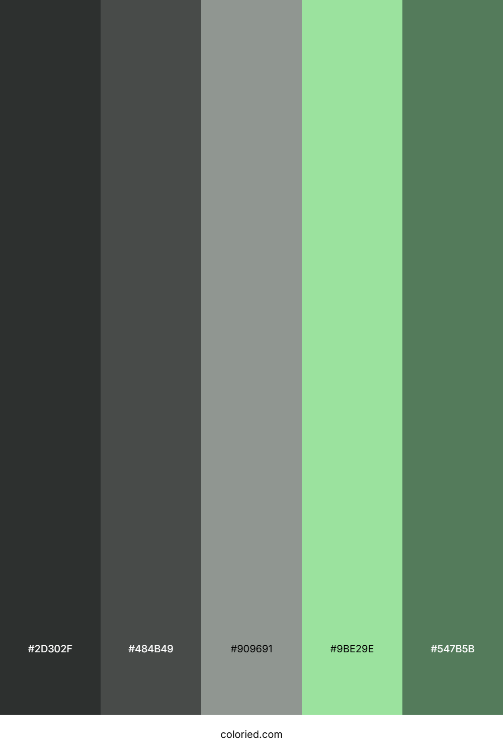 Mossy Rock Garden Color Palette