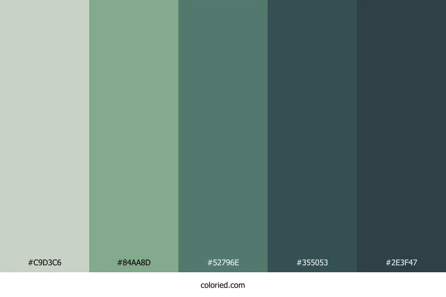 Mossy Sage Trail Color Palette