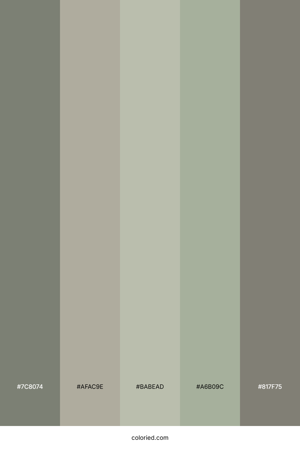 Mossy Stone Drift Color Palette