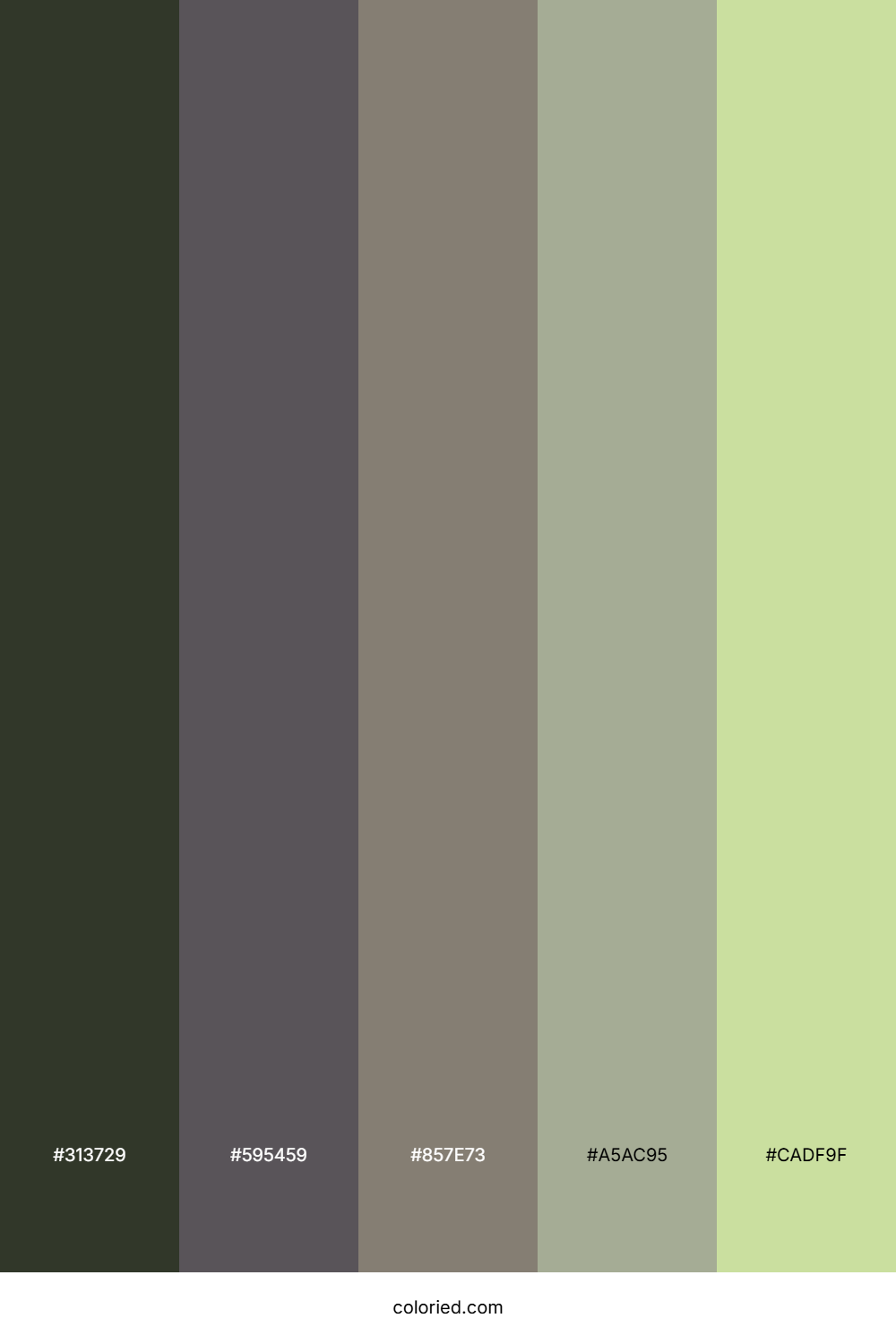 Mossy Stone Forest Palette