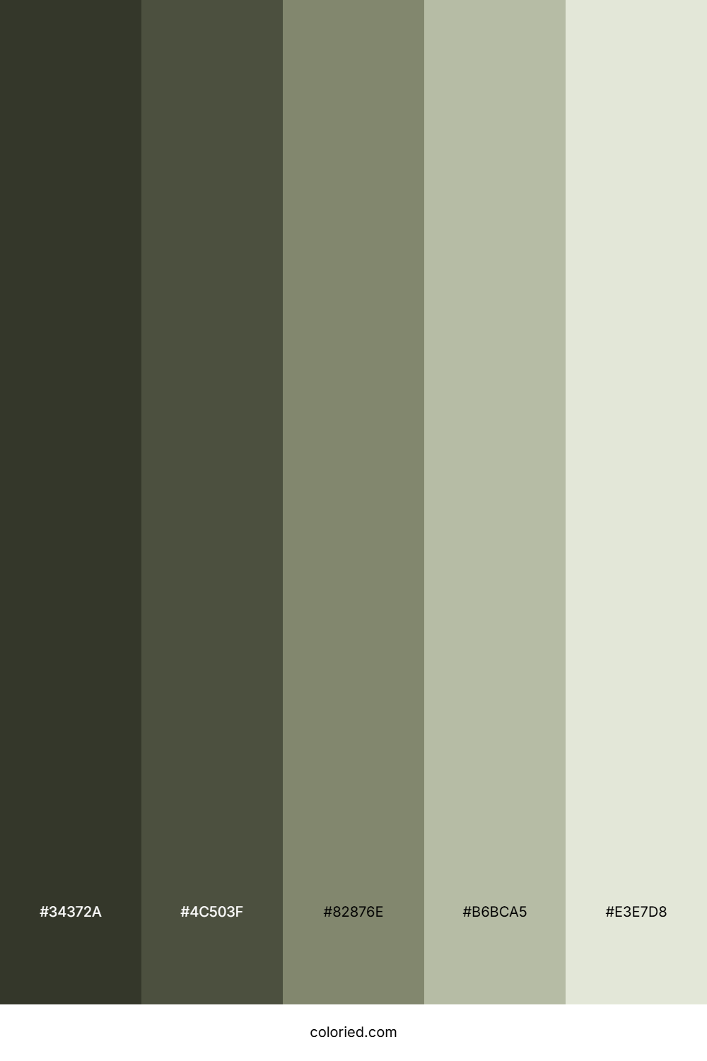 Mossy Stone Grove Color Palette