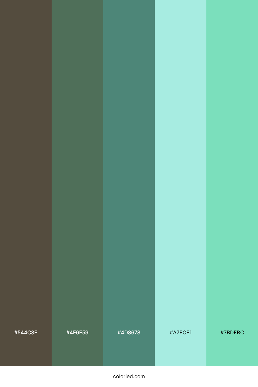 Mossy Woodland Mist Color Palette