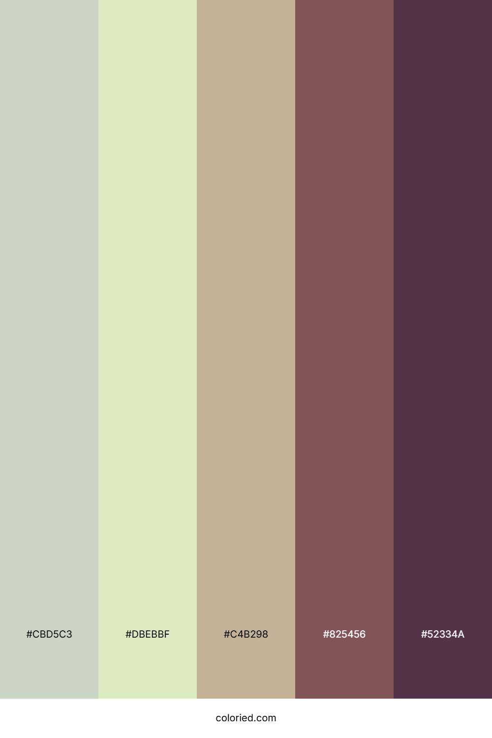 Mossy Woodland Trail Color Palette