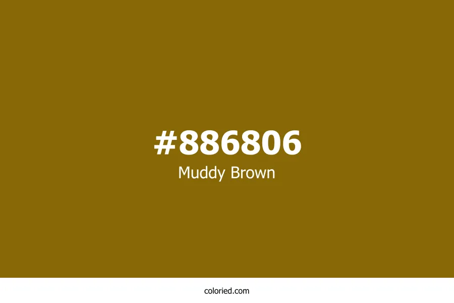 Muddy Brown Color