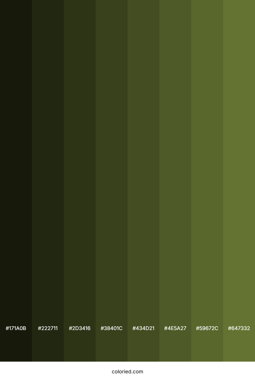 Muddy Green Color Shades