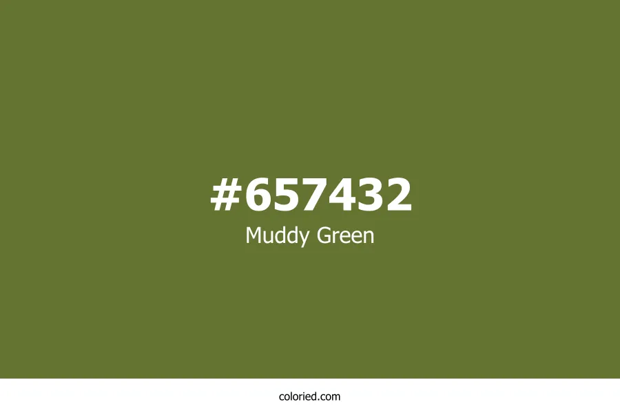 Muddy Green Color