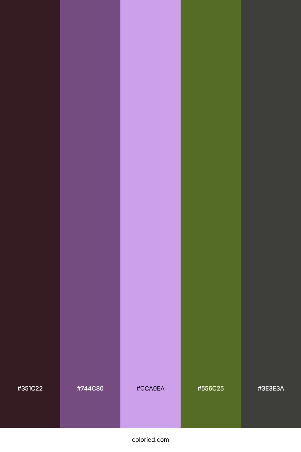 Mulberry Grove Sunset Color Palette