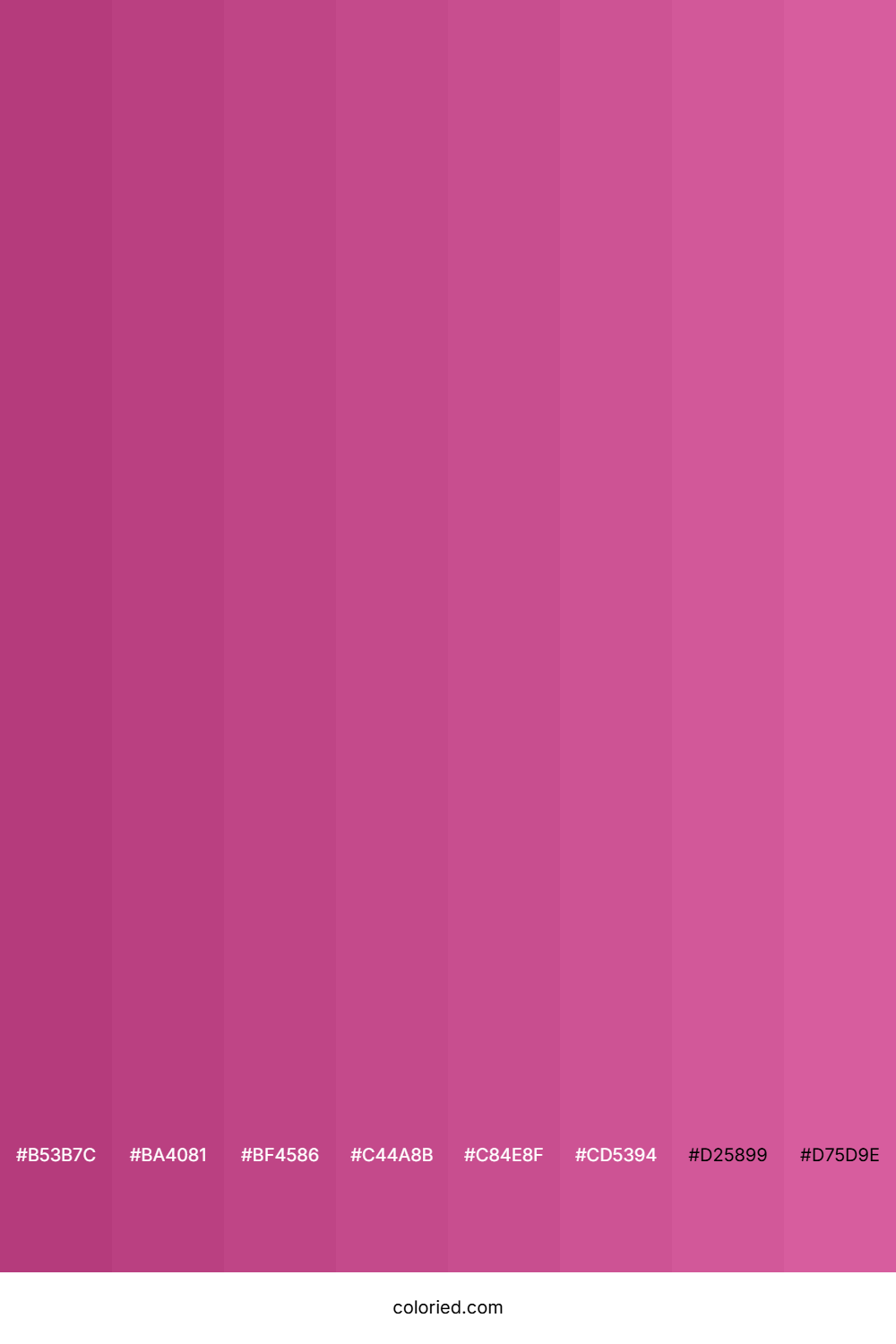 Mulberry Pink Shades