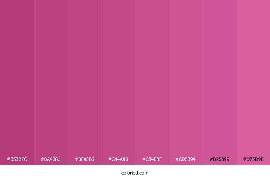 Mulberry Pink Shades