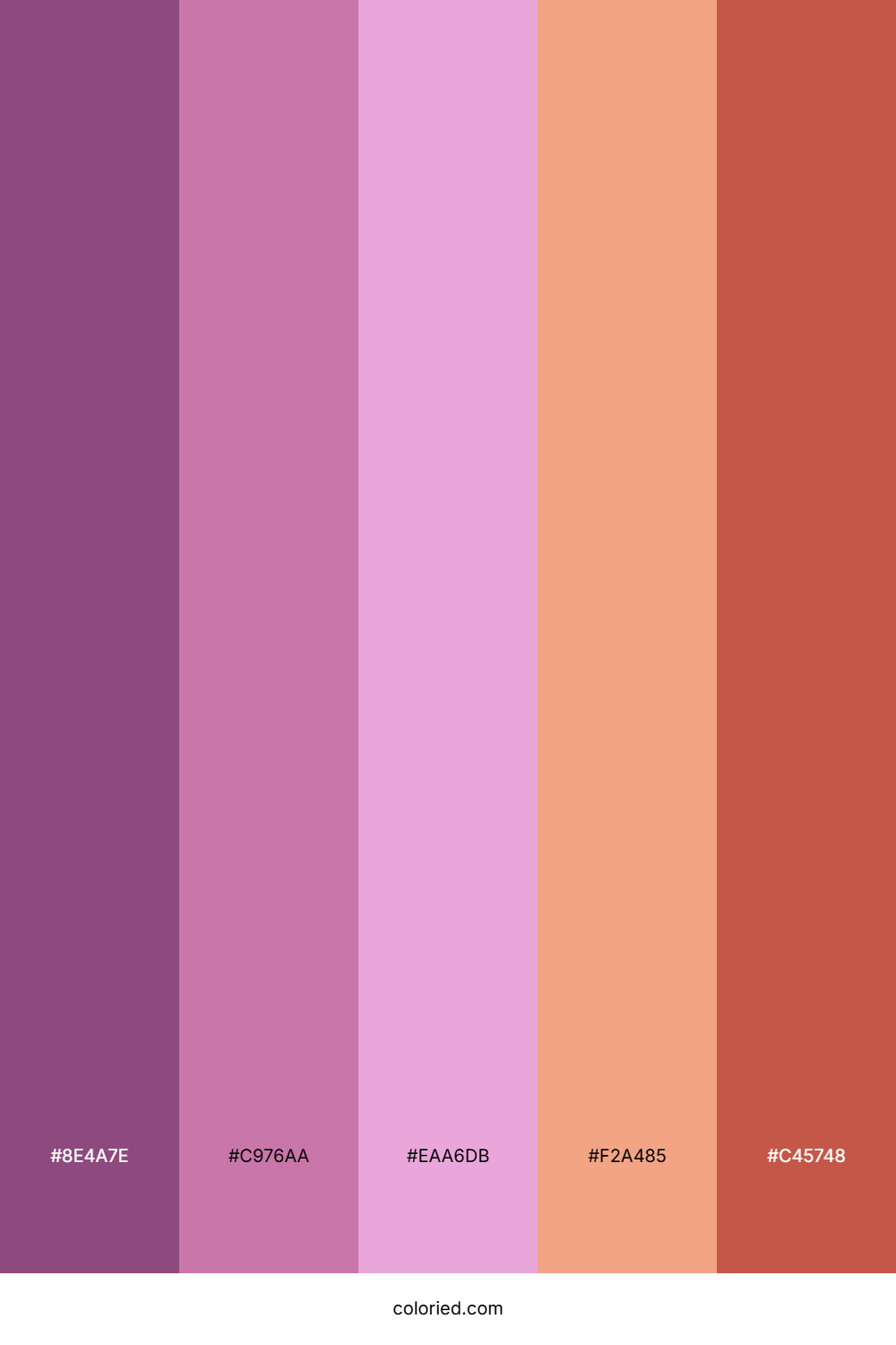 Mulberry Rose Sunset Palette