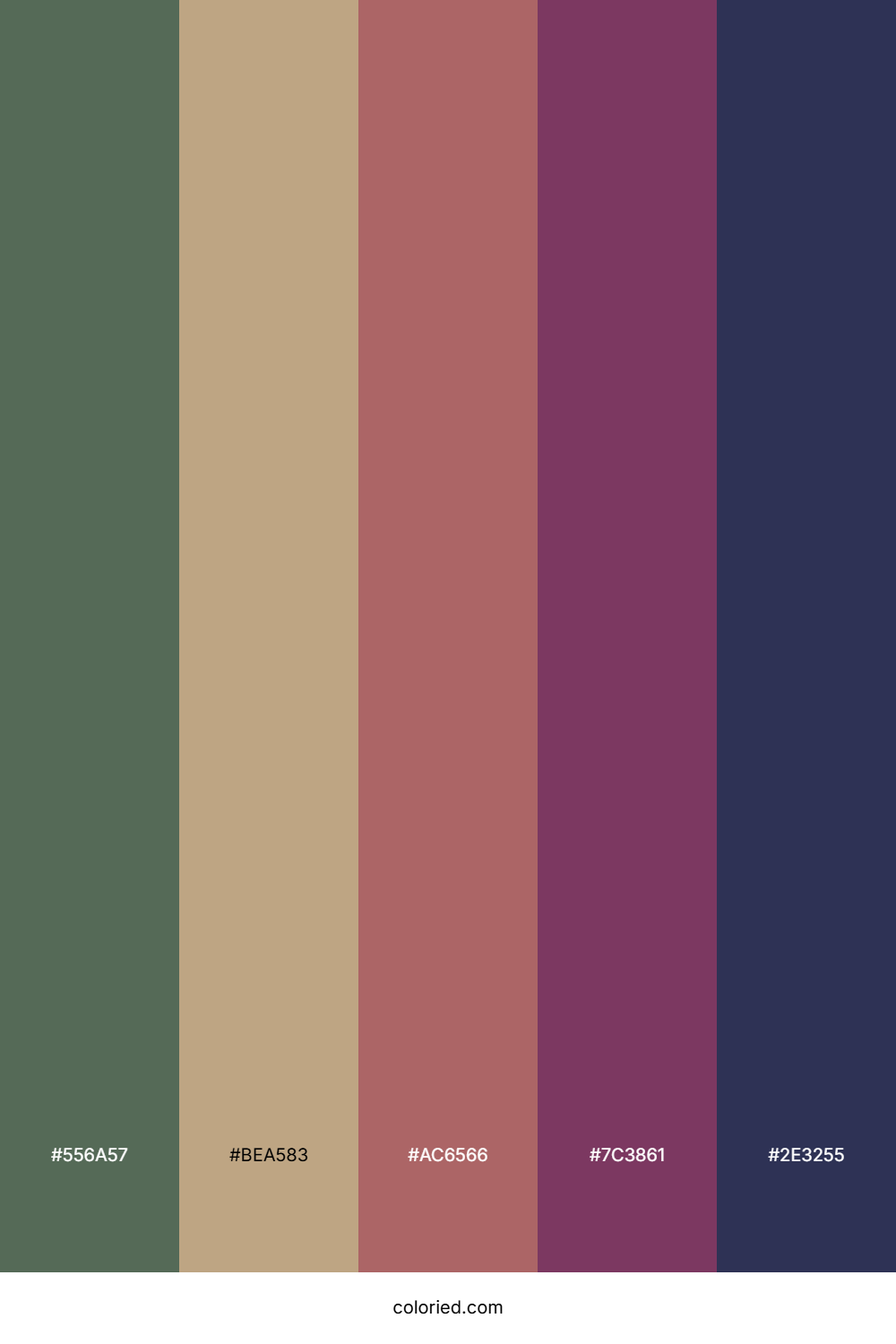 Mulled Wine Evening Color Palette