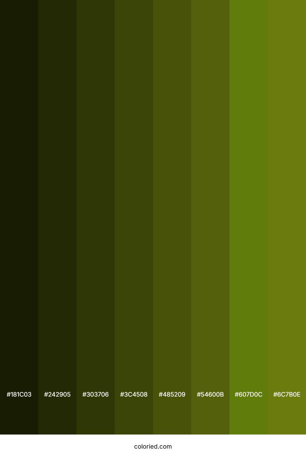 Murky Green Color Shades