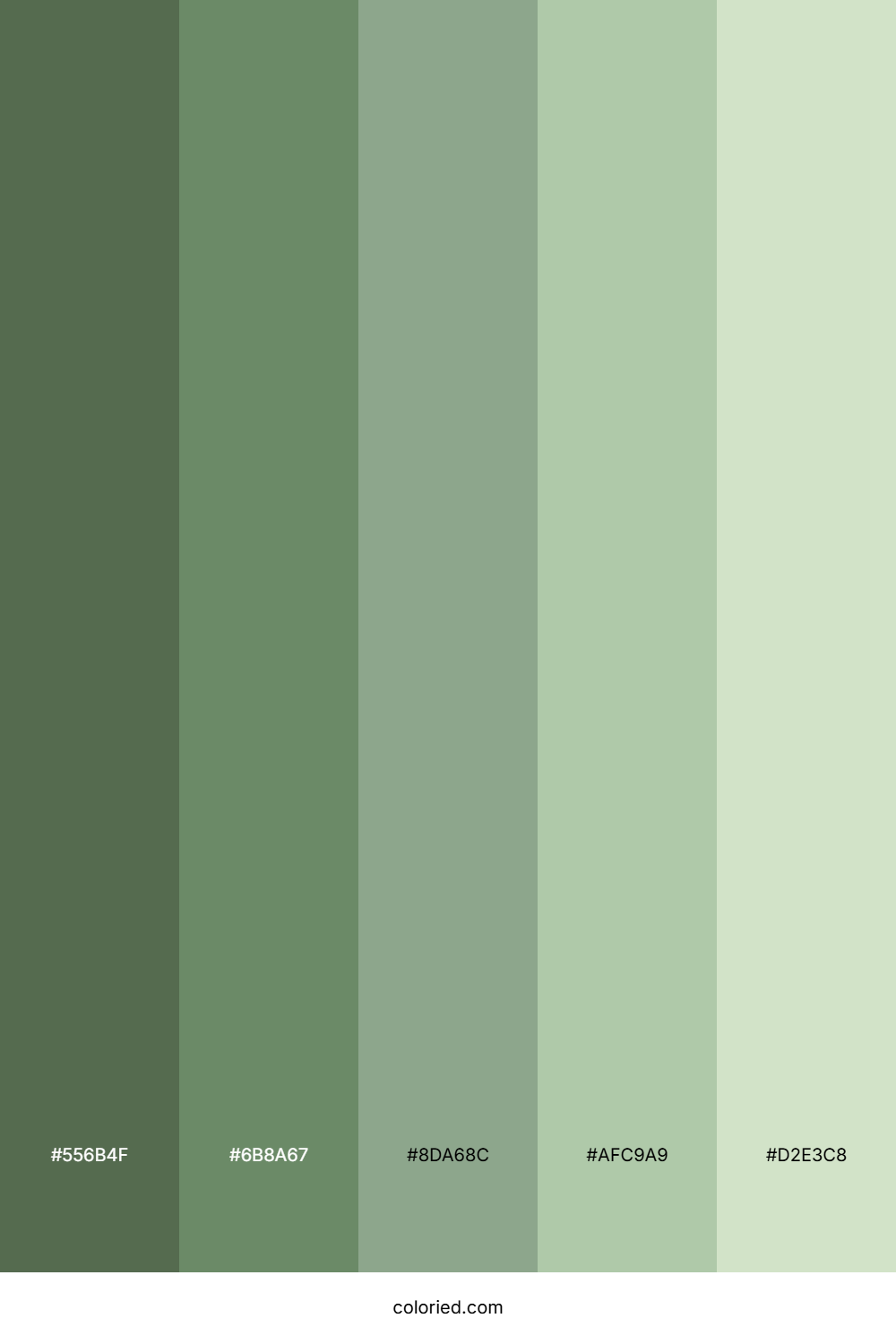 Muted Earth Green Color Palette