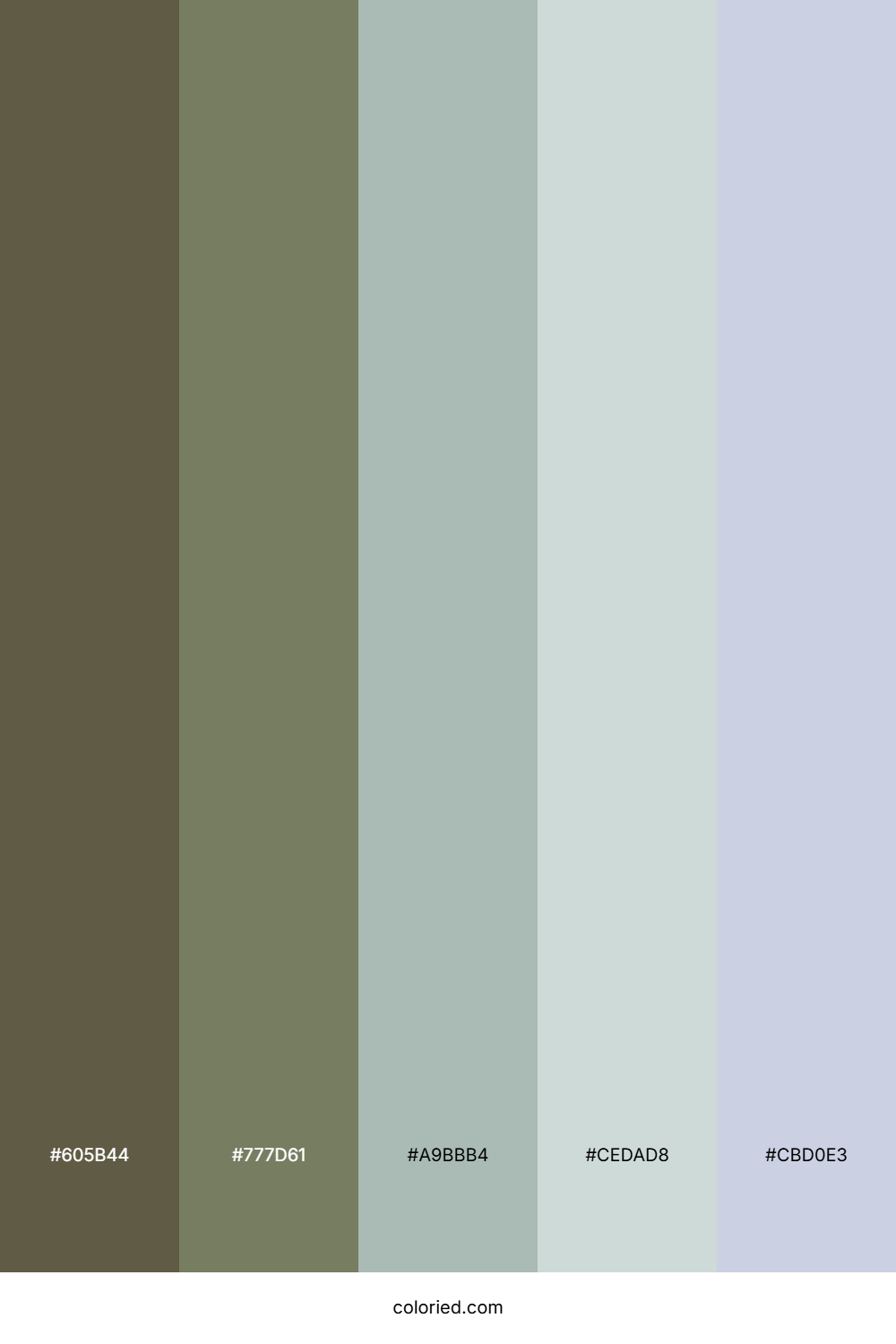 Muted Forest Mist Palette